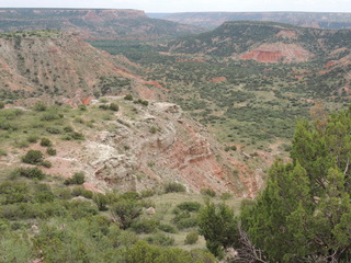 Filename=DSCN6278.JPG
Filesize=5603KiB
Dimensions=4608x3456
Date added=Sep 27, 2019 DSCN6278.JPG