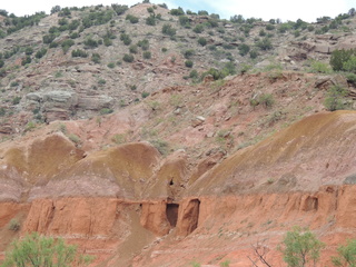 Filename=DSCN6286.JPG
Filesize=6331KiB
Dimensions=4608x3456
Date added=Sep 27, 2019 DSCN6286.JPG