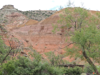 Filename=DSCN6287.JPG
Filesize=6049KiB
Dimensions=4608x3456
Date added=Sep 27, 2019 DSCN6287.JPG