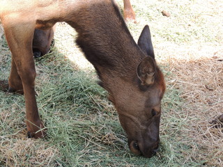 Filename=DSCN6307.JPG
Filesize=5812KiB
Dimensions=4608x3456
Date added=Sep 27, 2019 DSCN6307.JPG