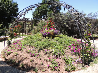 Filename=DSCN6308.JPG
Filesize=4836KiB
Dimensions=4608x3456
Date added=Sep 27, 2019 DSCN6308.JPG