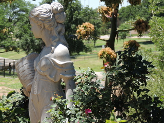 Filename=DSCN6316.JPG
Filesize=6240KiB
Dimensions=4608x3456
Date added=Sep 27, 2019 DSCN6316.JPG