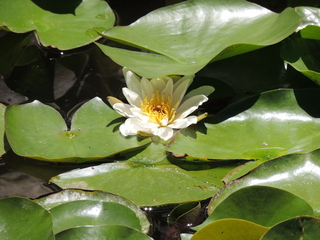 Filename=DSCN6321.JPG
Filesize=5866KiB
Dimensions=4608x3456
Date added=Sep 27, 2019 DSCN6321.JPG