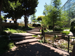 Filename=DSCN6328.JPG
Filesize=5484KiB
Dimensions=4608x3456
Date added=Sep 27, 2019 DSCN6328.JPG