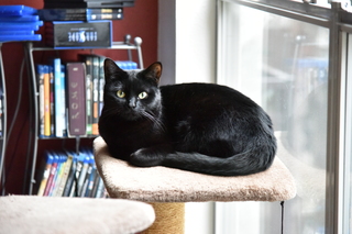 Filename=DSC_0086.JPG
Filesize=18096KiB
Dimensions=7360x4912
Date added=Sep 27, 2019 DSC_0086.JPG