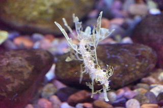 Filename=DSC_0110.JPG
Filesize=26838KiB
Dimensions=7360x4912
Date added=Sep 27, 2019 DSC_0110.JPG