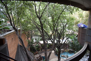 Filename=DSC_0115.JPG
Filesize=25381KiB
Dimensions=7360x4912
Date added=Sep 27, 2019 DSC_0115.JPG