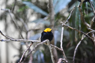 Filename=DSC_0119.JPG
Filesize=18102KiB
Dimensions=7360x4912
Date added=Sep 27, 2019 DSC_0119.JPG