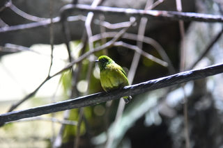 Filename=DSC_0120.JPG
Filesize=17256KiB
Dimensions=7360x4912
Date added=Sep 27, 2019 DSC_0120.JPG