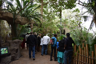 Filename=DSC_0121.JPG
Filesize=23394KiB
Dimensions=7360x4912
Date added=Sep 27, 2019 DSC_0121.JPG