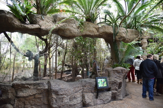 Filename=DSC_0122.JPG
Filesize=24584KiB
Dimensions=7360x4912
Date added=Sep 27, 2019 DSC_0122.JPG