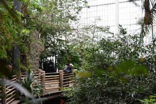 Filename=DSC_0129.JPG
Filesize=22973KiB
Dimensions=7360x4912
Date added=Sep 27, 2019 DSC_0129.JPG