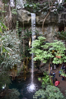 Filename=DSC_0130.JPG
Filesize=20204KiB
Dimensions=4912x7360
Date added=Sep 27, 2019 DSC_0130.JPG