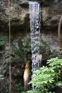 Filename=DSC_0132.JPG
Filesize=19518KiB
Dimensions=4912x7360
Date added=Sep 27, 2019 DSC_0132.JPG