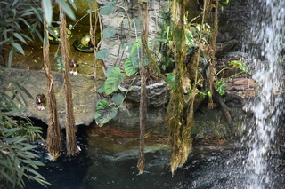 Filename=DSC_0135.JPG
Filesize=23936KiB
Dimensions=7360x4912
Date added=Sep 27, 2019 DSC_0135.JPG