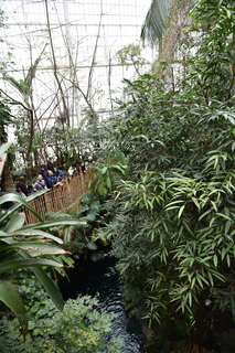 Filename=DSC_0137.JPG
Filesize=19921KiB
Dimensions=4912x7360
Date added=Sep 27, 2019 DSC_0137.JPG