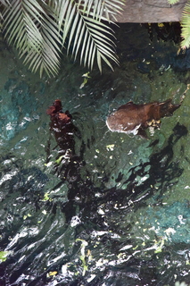 Filename=DSC_0138.JPG
Filesize=21623KiB
Dimensions=4912x7360
Date added=Sep 27, 2019 DSC_0138.JPG