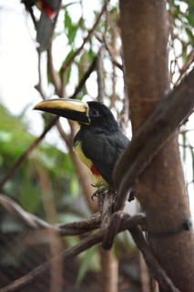 Filename=DSC_0142.JPG
Filesize=17226KiB
Dimensions=4912x7360
Date added=Sep 27, 2019 DSC_0142.JPG