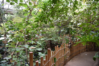 Filename=DSC_0144.JPG
Filesize=22683KiB
Dimensions=7360x4912
Date added=Sep 27, 2019 DSC_0144.JPG