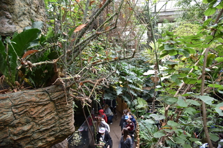 Filename=DSC_0145.JPG
Filesize=23930KiB
Dimensions=7360x4912
Date added=Sep 27, 2019 DSC_0145.JPG