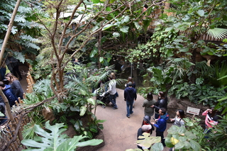 Filename=DSC_0146.JPG
Filesize=23660KiB
Dimensions=7360x4912
Date added=Sep 27, 2019 DSC_0146.JPG