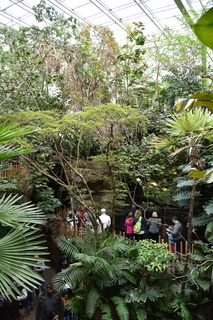 Filename=DSC_0148.JPG
Filesize=22077KiB
Dimensions=4912x7360
Date added=Sep 27, 2019 DSC_0148.JPG