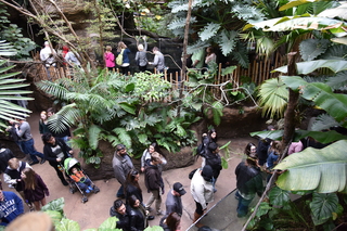 Filename=DSC_0149.JPG
Filesize=21894KiB
Dimensions=7360x4912
Date added=Sep 27, 2019 DSC_0149.JPG