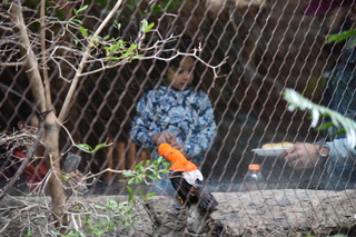 Filename=DSC_0150.JPG
Filesize=20988KiB
Dimensions=7360x4912
Date added=Sep 27, 2019 DSC_0150.JPG