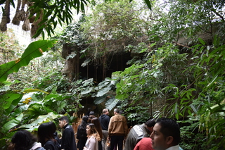 Filename=DSC_0152.JPG
Filesize=24428KiB
Dimensions=7360x4912
Date added=Sep 27, 2019 DSC_0152.JPG