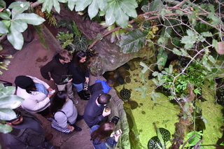 Filename=DSC_0153.JPG
Filesize=22191KiB
Dimensions=7360x4912
Date added=Sep 27, 2019 DSC_0153.JPG