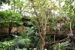 Filename=DSC_0156.JPG
Filesize=22827KiB
Dimensions=7360x4912
Date added=Sep 27, 2019 DSC_0156.JPG