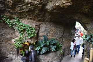 Filename=DSC_0157.JPG
Filesize=22577KiB
Dimensions=7360x4912
Date added=Sep 27, 2019 DSC_0157.JPG