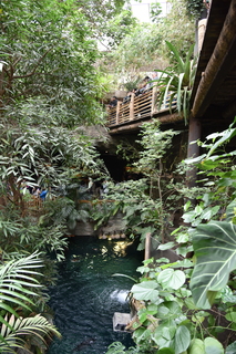 Filename=DSC_0158.JPG
Filesize=20976KiB
Dimensions=4912x7360
Date added=Sep 27, 2019 DSC_0158.JPG