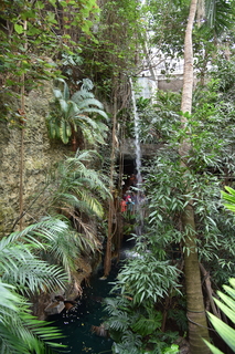 Filename=DSC_0162.JPG
Filesize=22890KiB
Dimensions=4912x7360
Date added=Sep 27, 2019 DSC_0162.JPG