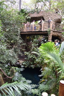 Filename=DSC_0166.JPG
Filesize=22540KiB
Dimensions=4912x7360
Date added=Sep 27, 2019 DSC_0166.JPG