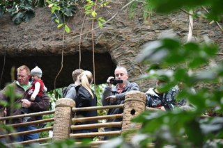 Filename=DSC_0168.JPG
Filesize=19924KiB
Dimensions=7360x4912
Date added=Sep 27, 2019 DSC_0168.JPG