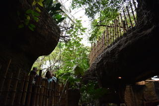 Filename=DSC_0173.JPG
Filesize=19490KiB
Dimensions=7360x4912
Date added=Sep 27, 2019 DSC_0173.JPG