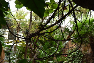 Filename=DSC_0174.JPG
Filesize=19211KiB
Dimensions=7360x4912
Date added=Sep 27, 2019 DSC_0174.JPG