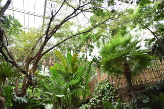 Filename=DSC_0176.JPG
Filesize=24721KiB
Dimensions=7360x4912
Date added=Sep 27, 2019 DSC_0176.JPG