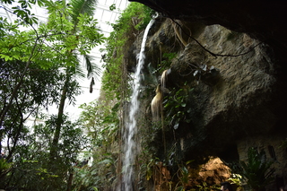 Filename=DSC_0182.JPG
Filesize=22755KiB
Dimensions=7360x4912
Date added=Sep 27, 2019 DSC_0182.JPG