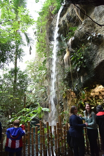 Filename=DSC_0183.JPG
Filesize=22447KiB
Dimensions=4912x7360
Date added=Sep 27, 2019 DSC_0183.JPG