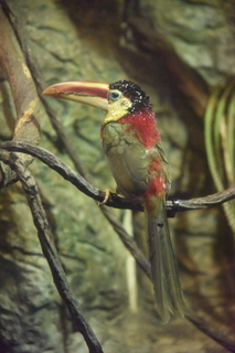 Filename=DSC_0184.JPG
Filesize=21429KiB
Dimensions=4912x7360
Date added=Sep 27, 2019 DSC_0184.JPG