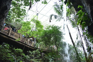 Filename=DSC_0185.JPG
Filesize=24282KiB
Dimensions=7360x4912
Date added=Sep 27, 2019 DSC_0185.JPG