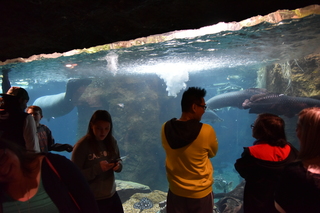 Filename=DSC_0187.JPG
Filesize=19953KiB
Dimensions=7360x4912
Date added=Sep 27, 2019 DSC_0187.JPG