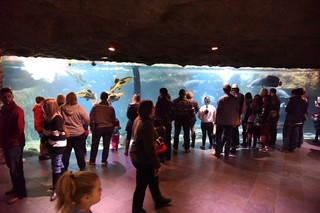 Filename=DSC_0196.JPG
Filesize=20353KiB
Dimensions=7360x4912
Date added=Sep 27, 2019 DSC_0196.JPG