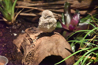 Filename=DSC_0200.JPG
Filesize=27884KiB
Dimensions=7360x4912
Date added=Sep 27, 2019 DSC_0200.JPG