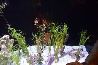 Filename=DSC_0211.JPG
Filesize=20572KiB
Dimensions=7360x4912
Date added=Sep 27, 2019 DSC_0211.JPG