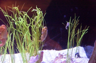 Filename=DSC_0212.JPG
Filesize=24700KiB
Dimensions=7360x4912
Date added=Sep 27, 2019 DSC_0212.JPG