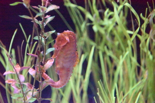 Filename=DSC_0213.JPG
Filesize=26611KiB
Dimensions=7360x4912
Date added=Sep 27, 2019 DSC_0213.JPG