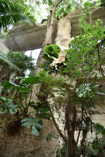 Filename=DSC_0220.JPG
Filesize=19038KiB
Dimensions=4912x7360
Date added=Sep 27, 2019 DSC_0220.JPG